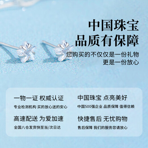 Chinese jewelry sterling silver sparkling star earrings for women 2025 new ear piercing jewelry niche anniversary birthday gift for girlfriend