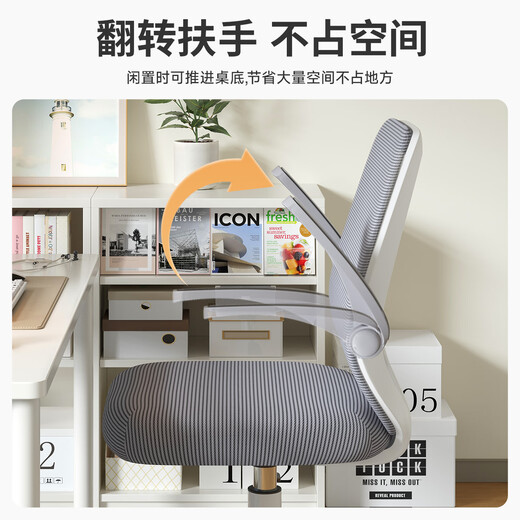 Dianying computer chair office chair home worker student study chair swivel chair writing study e-sports gaming chair DNY-03 white frame gray mesh + rotating armrest