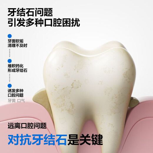 Gastrodia-Tartar-Whitening-Zahnpasta speziell wirksame Anti-Tartar-Steinhellungen und Whitening-Kaugummientfernung und Atementfernung und Zahnfärbung 100 g*3