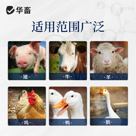 Huaxiu mold removal agent for veterinary pregnant animals can be used to remove mold for pigs, cattle, sheep, chicken and duck feed additives, sow mold removal agent 1 bag, live bacteria quick removal 1kg