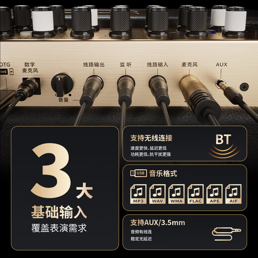 BBSL65 outdoor musical instrument speaker stage road show live broadcast electric wind instrument guitar playing and singing karaoke audio L65 eight dragon beads gold and black standard standard gift package