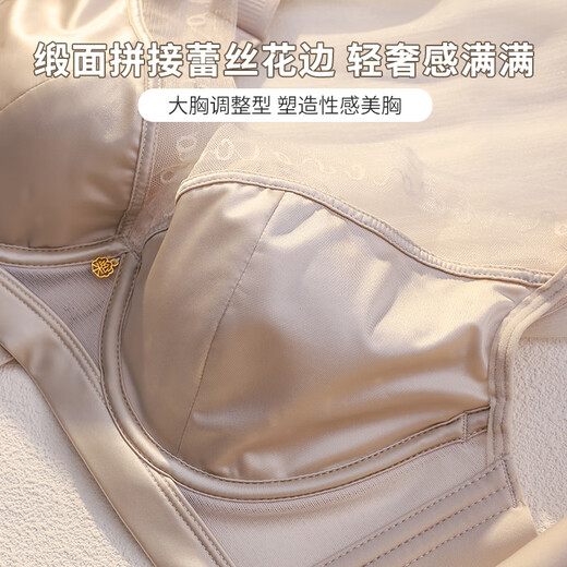 雅鹿无痕缎面内衣女大胸显小薄款聚拢收副乳防下垂调整型软钢圈文胸罩 奶灰 80B 36C
