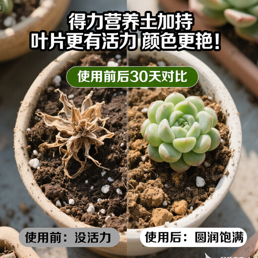Deli nutritional soil universal flower growing soil succulent orchid soil peat soil planting soil flower growing vegetable potting soil 10L