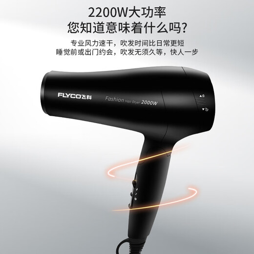 飞科（FLYCO）电吹风机 家用大功率吹风筒恒温护发速干冷热风 【2000W大功率 可折叠】FH6231
