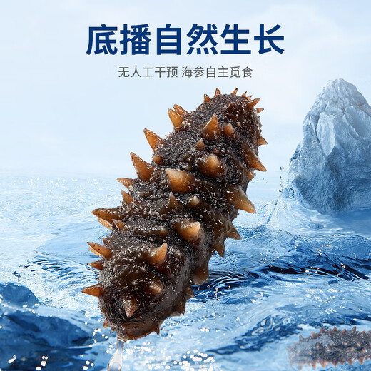 Xinglonggang Dalian ready-to-eat sea cucumber gift box, net content 2Jin Jin is equal to 0.5kg, 22-28 pieces, frozen Liao sea cucumber, holiday gift giving