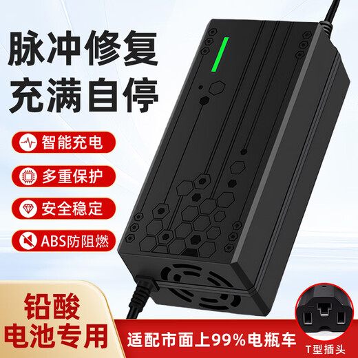Electric vehicle battery charger is suitable for Amayadi Xinri Tai bell pocket knife three-wheel 48V12AH60V20AH battery lead-acid universal T-type 48V20Ah universal T-type plug