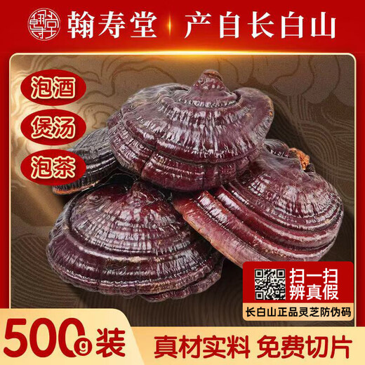 长白山药房品质紫灵芝野生中药材500g整朵赤灵芝片孢子粉泡酒礼盒 赤灵芝整株500g（长白山成熟体大灵芝）