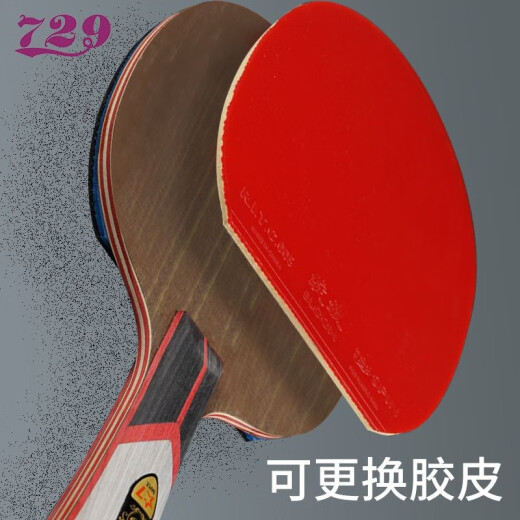 729友谊乒乓球拍金标6星7星8星9星学生级比赛训练乒乓拍 6星 直拍 (king6-金标)赠送大礼