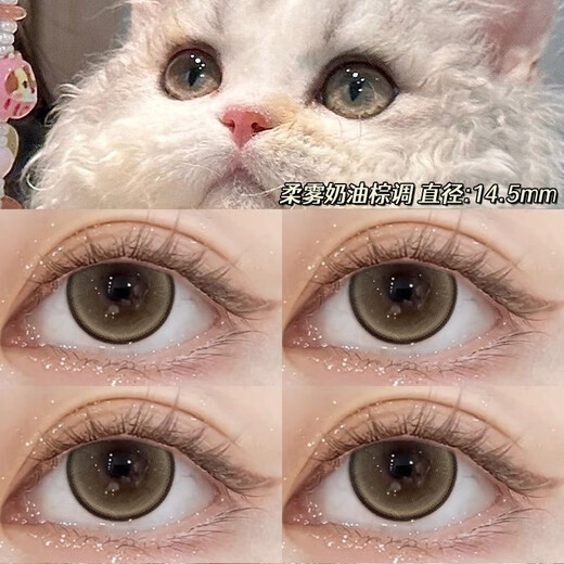 嗳暮迪黄油小熊美瞳日抛纯欲棕色一次性大直径隐形眼镜正品cc10片TN 麦芽糖粉14.2mm 10片装R6182-7 0度