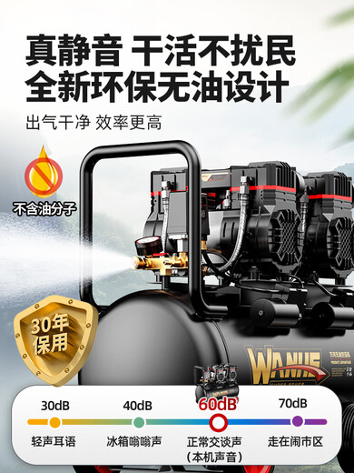 空压机充气泵小型220v便携式工业级木工高压打气泵空气压缩机 3990W-30L【无刷工业王+快速上气】6件套+ 3180W3890W3990W4290W