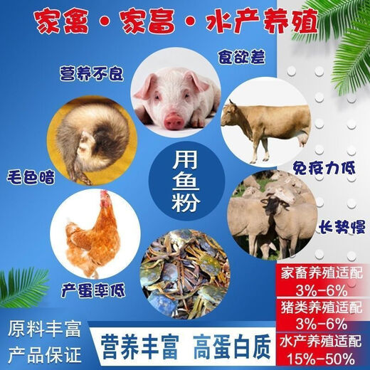 Imported fish meal, Peruvian steam fish meal, high protein fish meal feed, breeding, feeding chickens, ducks, geese, pigs, fish bone meal, feeding dogs, bulk Peruvian fish meal 5Jin Jin is equal to 0.5kg