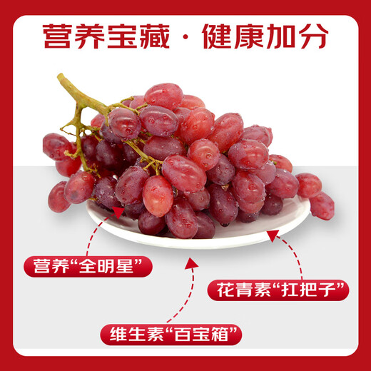 Jingxiansheng Clenson seedless red grapes, net weight 2Jin Jin is equal to 0.5kg, packed grape/raisin Clenson fresh fruit, straight from the source