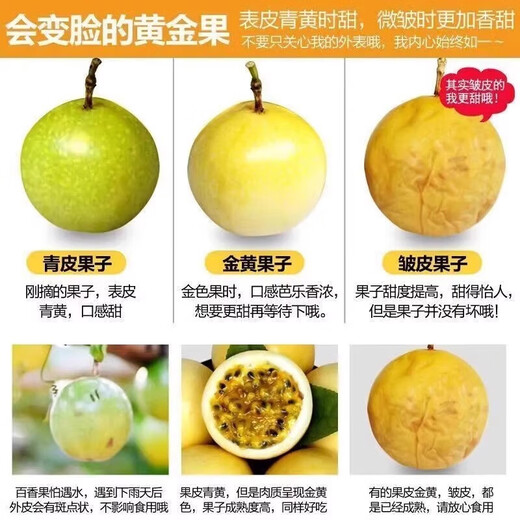 Guangxi Qinmi No. 9 Golden Passion Fruit Wancheng Seasonal Fresh Large Fruit Huangpiguo Milk Tea Shop Fruit 1 Jin Jin is equal to 0.5 kg, about 11-17 pieces, single fruit 30-45g