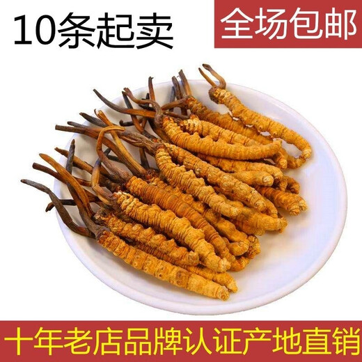 Dry goods authentic Cordyceps gift box Cordyceps Wang Abazhou nourishing and health Cordyceps specialties Three roots per gram 20 roots [box]