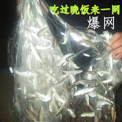Yuzhiyuan fishing net small white strips fish net small fish single layer sticky net 1 finger 2 finger 3 finger clear fish sinking net floating net fishing net 1.5 meters 7 minutes 50 meters single layer sinking net