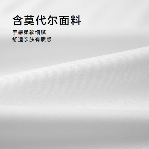 HLA Hai Lan long-sleeved shirt men's autumn light business chest pocket formal shirt men