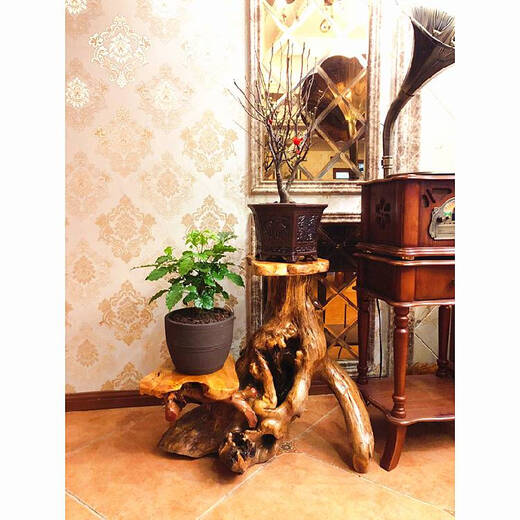 Soporte de tallado de raíz natural REG SALA DE LIBRA CHINA BONSAI PESTIVO PESTRO DE MADERA SOLIDA ROOT ART ART ARDENO ANNIQUEDA ANTIGUO 16822