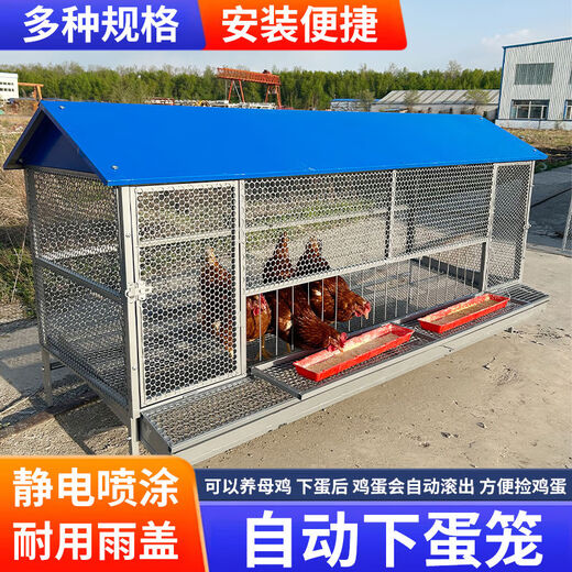 鸡笼子家用室外防雨自动收蛋防啄防黄鼠狼防鼠加厚不锈下蛋养殖笼 16784级特厚锰钢防锈下蛋笼 单笼子