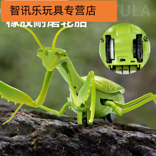 山头林村遥控螳螂电动玩具整蛊神器蟑螂男孩会动的蜘蛛爬行小动物 遥控螳 [经典版-遥控蜈蚣]黄黑款9901
