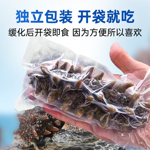 Fishing Travel Notes Ready-to-eat sea cucumber Dalian sea cucumber 500g Liao sea cucumber dry sea cucumber 13-17 pieces/Jin Jin equals 0.5 kg