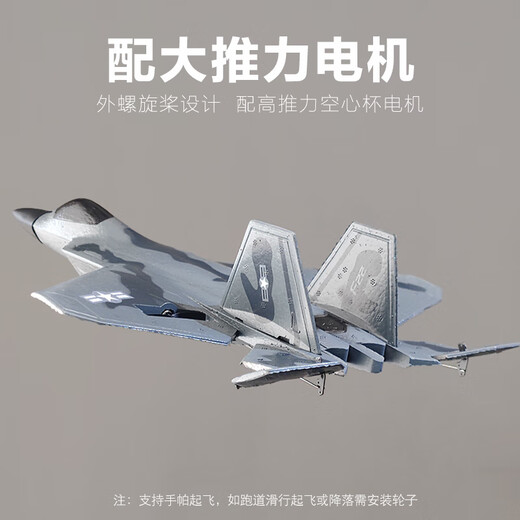 SHENX遥控飞机战斗机J35大型固定翼儿童航模男孩成人玩具耐撞隐形航模 F22-大号四通特技版BM22B无航拍