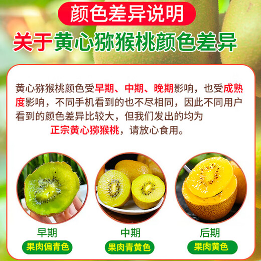 Yellow heart kiwi fruit, kiwi fruit, kiwi fruit, fresh fruit, 12 pieces, single fruit 50-70g