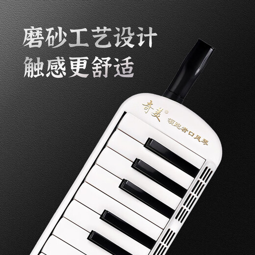 Импортная гармошка-гонг Chimei Leader с 37 клавишами (белая и черная, в полиуретановой сумке, с учебными материалами)