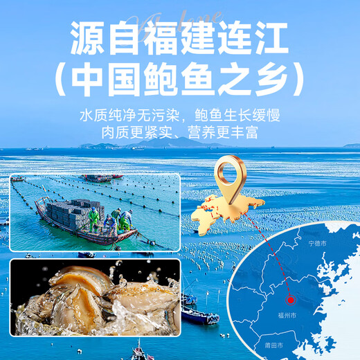 Linglue Fujian fresh frozen large abalone, net weight 400g, 8 pieces box, abalone hot pot barbecue, shellfish and seafood, fresh