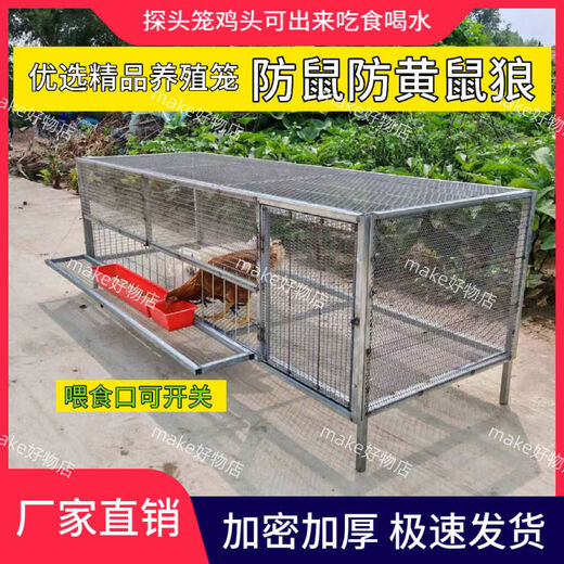 鸡笼家用室内防黄鼠狼自动出蛋饲养笼铁丝网鸽子鸭兔不锈钢养殖笼 15862吃食烤漆白黑可选备注 加轮子和托盘