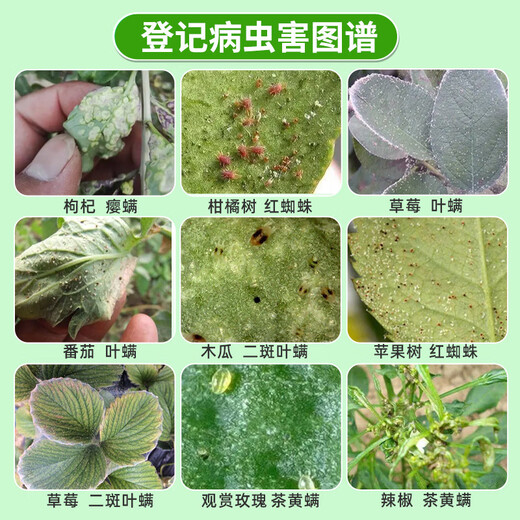 Eka mite 43% diphenylhydrazate Jinmanzhi 20% butofenyl flower aphid red spider pesticide insecticide and acaricide 15ml