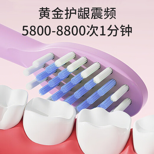 葆氏儿童电动牙刷3-6-12岁-15岁声波震动充电式牙刷机身*1+刷头*3紫色