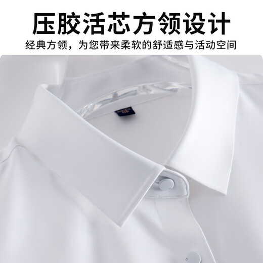 花花公子（PLAYBOY）高端白衬衫男短袖免烫弹力商务正装工作服夏季纯白色半袖衬衣时尚 6187D 38