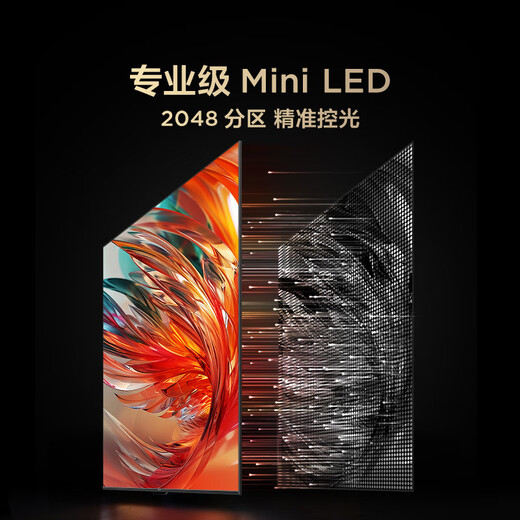 FFALCON雷鸟 鹤7 25款98英寸 0.5%LR低反膜QD-MiniLED HVA屏 一级能效家电国家补贴 100电视机巨幕98R695C