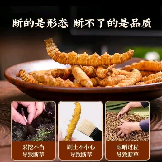 藏芝翁高海拔冬虫夏草精选头茬干虫草高端滋补礼盒送长辈送领导送客户 大断草50克【拍50克发55克】送5克