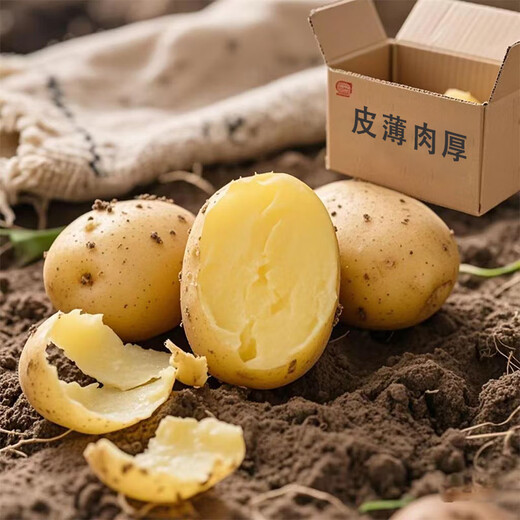 Grandma Qian's fresh potatoes and vegetables, Guizhou alpine potatoes, yellow skin and yellow heart, breakfast mashed potatoes, spicy hot pot ingredients, yellow skin potatoes, 5Jin Jin equal to 0.5kg, boxed (net weight)