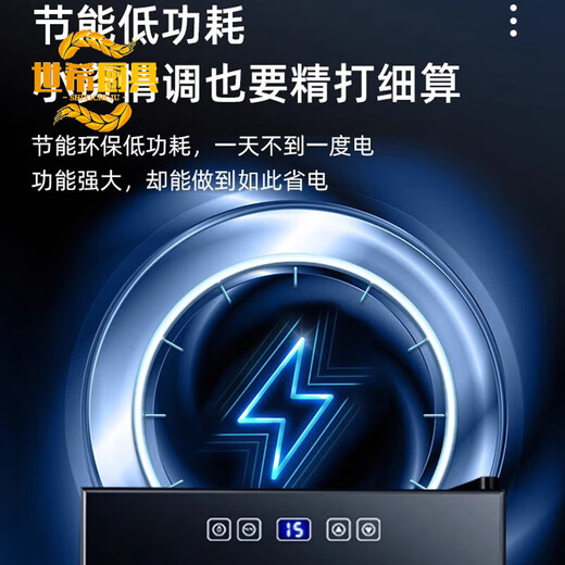 Shixi Light Luxury Flagship Constant Temperature Red Wine Cabinet Small Mini Household Tea Refrigerator Ice Bar Red Wine Refrigerator Wine Cabinet Dark Night Black (18T Beech Shelf Model)