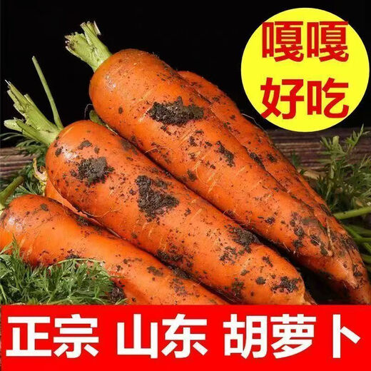 Fresh pureed carrots, fresh vegetables, farm fruits, radishes, seasonal fresh vegetables, sweet potatoes, breakfast nutrition, carrots 1 Jin Jin is equal to 0.5 kg, with box 200g+/box