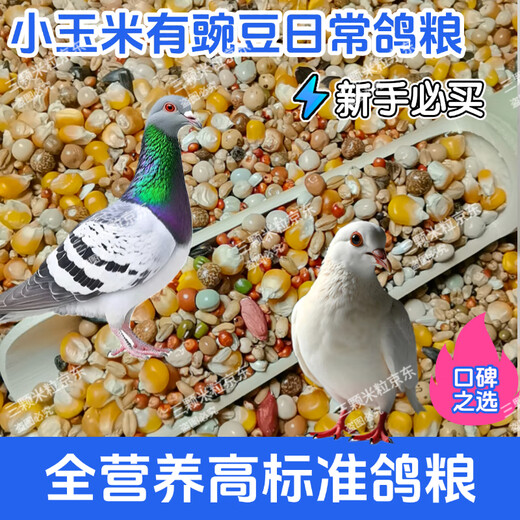New pigeon food 20 Jin Jin is equal to 0.5 kg. Corn-free pigeon food has corn. Pigeon feed racing nutrition. Pigeon food for adult and young pigeons. 5 Jin Jin is equal to 0.5 kg. Pigeon food with corn and peas. 10 Jin Jin is equal to 0.5 kg.
