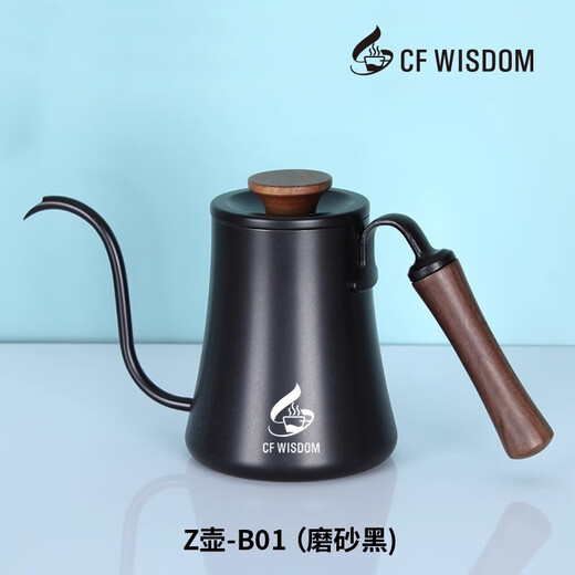 High-end hand-brewed coffee pot, food-grade home outdoor, light luxury, hanging ear-hung hand-brewed kettle, slim mouth, long mouth, high-looking kettle, matte black 600ml