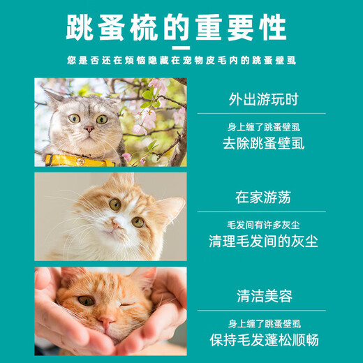 Pet cat and dog mouth hair comb, dense tooth small row comb, face comb, eye cleaning, facial needle comb, flea grate, black and blue