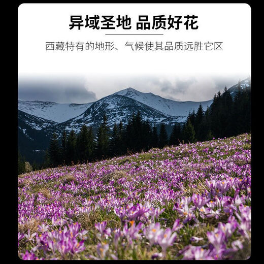 Tibet Affron Authentic Oficial Flagship Store No irania Silk Saffron 5G 10G Regalo Regalo Box Box Saffron 10G Regalo Regalo [Alta calidad]