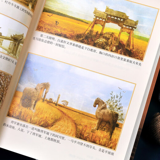 精装完整版695页官方正版 白鹿原未删节减版 原著精装典藏版陈忠 文学出版社