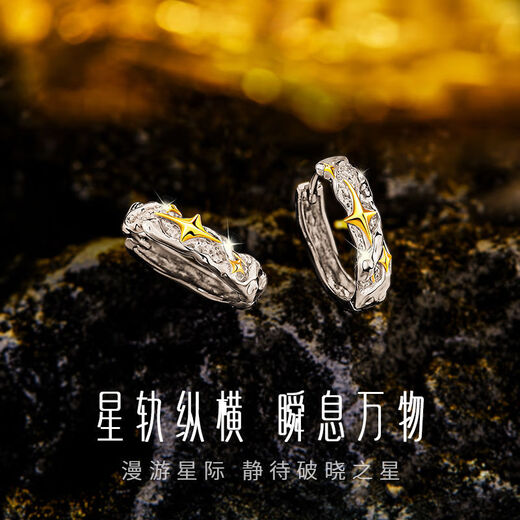 Tongrubi S925 Silver Lone Star Earrings Men's Trendy Hip-Hop Men's Earrings Personalized Handsome Trendy Men's Earrings Gifts Lone Star Earrings Single