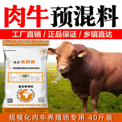 British and American cattle feed, special feed premix for beef cattle, fattening, growth promotion, fast fattening, weight gain and fattening additive, beef cattle premix 20KG*1 bag