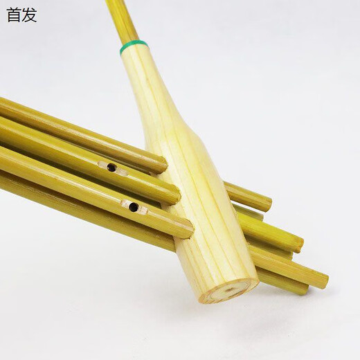 Swan (Swan) Guizhou Miao Traditionnel Lusheng Trumpet 6-tube 6-tube 6-tube 6 tube 6 tube 6 tube 6 tube 6 tube 6 tube 6 tube 6 tube 6 tube 6 tube 6 tube