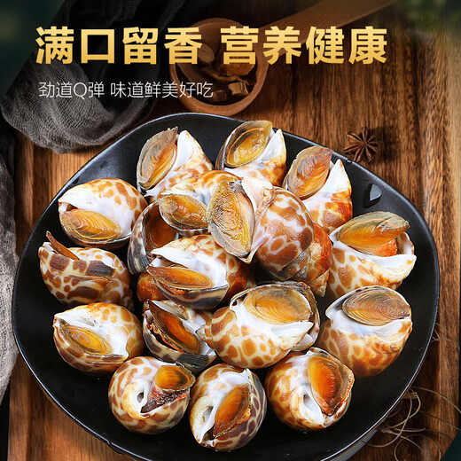 Colorful fresh snails, fresh fresh conches, extra large seafood, aquatic products, fresh fresh frozen frozen dongfeng snails, extra large snails, no sand, extra large size 2000g (25-45 pieces/Jin Jin is equal to 0.5 kg) net