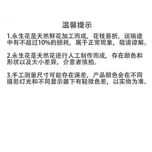 Gypsophila dried flower bouquet preserved flower material light blue