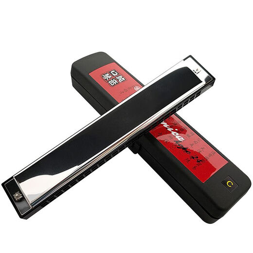 Tombo Japan Tongbao 6624p Pure Tone harmonica Harmonic polyphonique à 24 trous pour débutants E-Tune