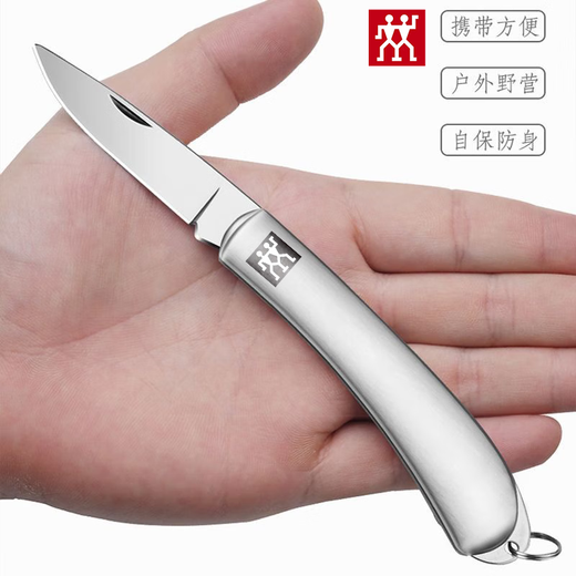 双立人（ZWILLING）德国不锈钢可折叠水果刀削皮刀家用便携式随身露营小刀 不锈钢水果刀 1把