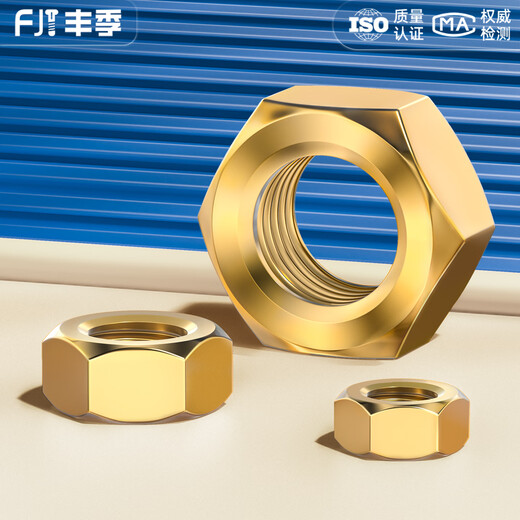 Fengji national standard pure brass nut full copper hexagonal nut screw cap M1M2M3M4M5M6M8M10M12M16M20mm M16 1 piece